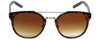 Lucky Brand Designer Sunglasses Montana in Tortoise with Brown Gradient