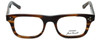 Converse Designer Eyeglasses P004 in Brown Horn 50mm :: Custom Left & Right Lens