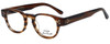 Converse Designer Eyeglasses P002 in Brown Horn 46mm :: Progressive