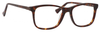 Front View of Esquire Men's Blue Light Filter + A/R Lenses Eyeglasses EQ1509 in Tortoise-54mm