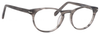 Esquire EQ1510 Grey Amber Oval Eyeglasses with Blue Light Filter + A/R Lenses 50