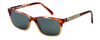 Parkman Handcrafted Polarized Sunglasses Francesa in Cranberry Tan with Money &