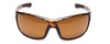 Suncloud Conductor Polarized Sunglasses Tortoise- Front View