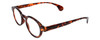 Calabria Elite Designer Unisex Round Reading Glasses R217 Professor Type 46 mm