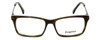 Front View of Elle Designer Blue Light Blocking Reading Glasses EL13406-BU in Burgundy 53mm Ne