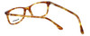 Esquire Designer Blue Light Blocking Reading Glasses EQ1508 Tortoise 51mm /Power