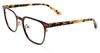 Profile View of Converse Designer Blue Light Blocking Reading Glasses P013UF-BRN in Brown 50mm N