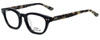 Profile View of Converse Designer Blue Light Blocking Reading Glasses P015 Black 48mm 20 Powers
