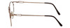 Side View of Charriol Designer Blue Light Blocking Reading Glasses PC7121-C3 in Silver 52mm N