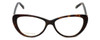Front View of Silver Dollar Progressive Blue Light Reading Glasses Cashmere 456 Tortoise 53mm