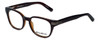 Profile View of Eddie-Bauer Designer Progressive Blue Light Blocking Glasses EB8332 Brown 50mm