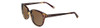 Olive-Tortoise