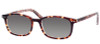 Eddie Bauer Reading Sunglasses 8207 in Tortoise Crystal
