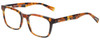 Profile View of Eyebobs C See Through Reading Glasses Lt Tortoise Havana Brown Gold Crystal 52mm