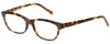 Profile View of Eyebobs Stew Zoo Designer Progressive Lens Prescription Rx Eyeglasses in Tortoise Havana Brown Gold Crystal Ladies Cateye Full Rim Acetate 52 mm