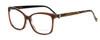 Profile View of Vera Bradley Tamlyn Cateye Reading Glasses in Desert Floral Brown Blue Red 54 mm