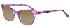 Profile View of Marie Claire MC6252-PTO Designer Polarized Reading Sunglasses with Custom Cut Powered Amber Brown Lenses in Purple Tortoise Havana Ladies Cateye Full Rim Acetate 53 mm