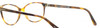 Side View of Tom Ford TF5421-053 Designer Reading Eye Glasses with Custom Cut Powered Lenses in Honey Tortoise Havana Brown Gold Ladies Cateye Full Rim Acetate 53 mm