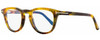 Profile View of Tom Ford TF5488-B-055 Designer Bi-Focal Prescription Rx Eyeglasses in Light Tortoise Havana Brown Gold Ladies Cateye Full Rim Acetate 47 mm