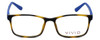 Front View of Calabria Viv Designer Blue Light Blocking Glasses 241 in Tortoise-Blue 53mm