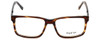 Front View of Big&Tall Designer Blue Light Block Glasses 14 Demi Tortoise Brown Acetate 58mm