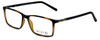 Profile View of Calabria Viv Designer Progressive Blue Light Glasses 239 in Tortoise-Black 53mm