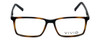 Front View of Calabria Viv Designer Progressive Blue Light Glasses 239 in Tortoise-Black 53mm