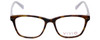 Front View of Vivid Designer Progressive Blue Light Glasses Vivid-878 in Tortoise-Purple 51mm