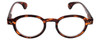 Front View of Calabria Elite Designer Blue Light Glasses R217 Professor Type 46 mm in Tortoise