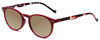 Profile View of Calabria MDR8003 Designer Polarized Sunglasses with Custom Cut Amber Brown Lenses in Maroon Red Crystal Spot Unisex Oval Full Rim Acetate 47 mm