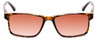 Calabria L2007 Men's 54 mm Polarized Sunglasses in Tortoise Brown Gold 4 OPTIONS