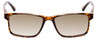 Calabria L2007 Men's 54 mm Polarized Sunglasses in Tortoise Brown Gold 4 OPTIONS
