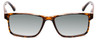 Calabria L2007 Men's 54 mm Polarized Sunglasses in Tortoise Brown Gold 4 OPTIONS