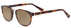Profile View of Scott&Zelda SZ7436 Designer Polarized Reading Sunglasses with Custom Cut Powered Amber Brown Lenses in Tortoise Havana Brown Gold Silver Studs Unisex Oval Full Rim Acetate 49 mm