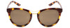 Front View of Smith Bridgetown Polarized Sunglasses Tortoise Havana Brown Gold/Gray Green 54mm