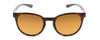 Front View of Smith Eastbank Round Sunglasses Tortoise Havana Brown Gold & Carbonic Brown 52mm