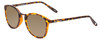 Profile View of Lucky Brand INDIO Designer Polarized Reading Sunglasses with Custom Cut Powered Amber Brown Lenses in Matte Tortoise Havana Brown Gold Unisex Round Full Rim Acetate 50 mm