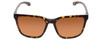 Smith Shoutout Sunglasses Vintage Tortoise Gold &ChromaPop Glass Polarized Brown