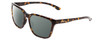 Profile View of Smith Optics Shoutout Designer Polarized Sunglasses with Custom Cut Smoke Grey Lenses in Vintage Tortoise Havana Gold Unisex Retro Full Rim Acetate 57 mm
