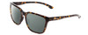 Profile View of Smith Optics Shoutout Designer Polarized Reading Sunglasses with Custom Cut Powered Smoke Grey Lenses in Vintage Tortoise Havana Gold Unisex Retro Full Rim Acetate 57 mm