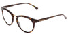 Profile View of Smith Optics Questa Designer Blue Light Blocking Eyeglasses in Vintage Tortoise Havana Brown Gold Ladies Round Full Rim Acetate 50 mm