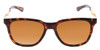 Smith Roam Unisex Classic Sunglasses Tortoise Havana Gold/CP Polarized Brown 53mm