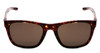 Front View of Under Armour Raid Classic Designer Sunglasses in Havana Tortoise Gold/Brown 55mm