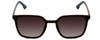 Front View of Police SPL769 Unisex Square Designer Sunglasses in Matte Brown Blue & Brown 54mm