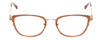 Front View of Lucky Brand D116 Designer Progressive Lens Prescription Rx Eyeglasses in Beige Gold Wave Ladies Cateye Full Rim Metal 54 mm