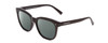 Profile View of Coyote Cheyenne Designer Polarized Reading Sunglasses with Custom Cut Powered Smoke Grey Lenses in Gloss Black Ladies Square Full Rim Acetate 52 mm