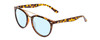 Profile View of Coyote Downtown Designer Progressive Lens Blue Light Blocking Eyeglasses in Tortoise Brown Ladies Cateye Full Rim Acetate 54 mm