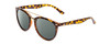 Profile View of Coyote Downtown Designer Polarized Sunglasses with Custom Cut Smoke Grey Lenses in Tortoise Brown Ladies Cateye Full Rim Acetate 54 mm