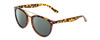 Profile View of Coyote Downtown Designer Polarized Reading Sunglasses with Custom Cut Powered Smoke Grey Lenses in Tortoise Brown Ladies Cateye Full Rim Acetate 54 mm
