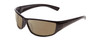 Profile View of Coyote P-44 Designer Polarized Reading Sunglasses with Custom Cut Powered Amber Brown Lenses in Gloss Black Unisex Wrap Full Rim Acetate 66 mm